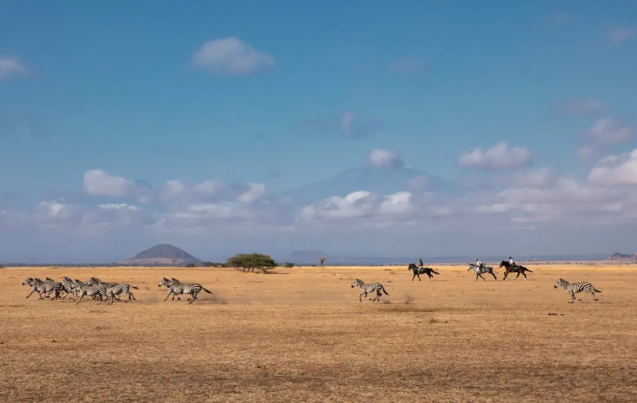 Safari e Cultura: Quênia com Propósito